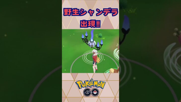 野生でシャンデラGET‼【ポケモンGO】