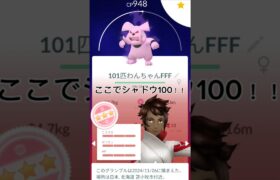 今年GETした個体値MAXのポケモン紹介！！#ポケモン #ポケモンgo #色違い100#個体値100