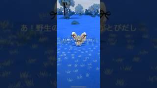 【ポケモンGO】 チラミィ（通常色・ファッションウィークコスチューム） 捕獲動画！！