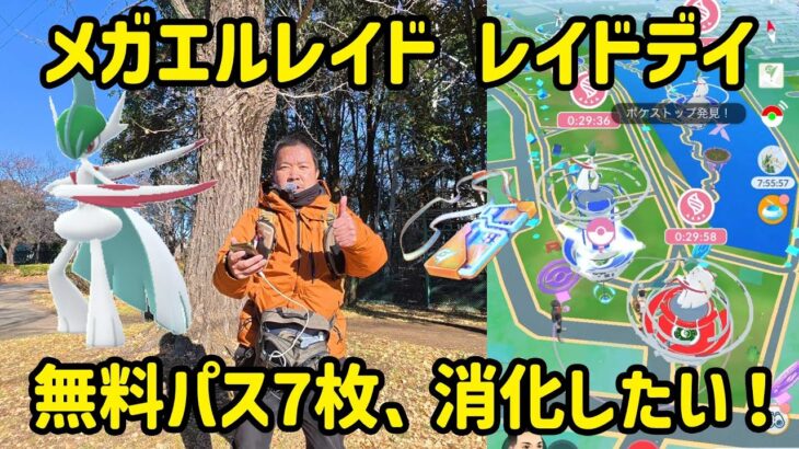 【ポケモンGO】無料パス七枚消化できるのか？ メガエルレイドのレイドデイ