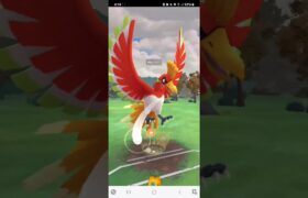 ポケモンGO 通常マスターリーグ ミュウツー、ホウオウ、ネクロズマ(たそがれ)