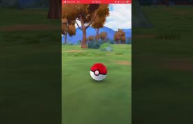 ポケモンGO 背景付きラルトス色違い出た！