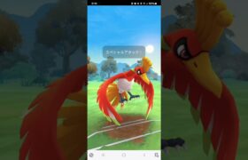 ポケモンGO 通常マスターリーグ ホウオウ、ネクロズマ(たそがれ)、グラードン