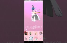 色違いエルレイド、メガ進化【ポケモンGO】