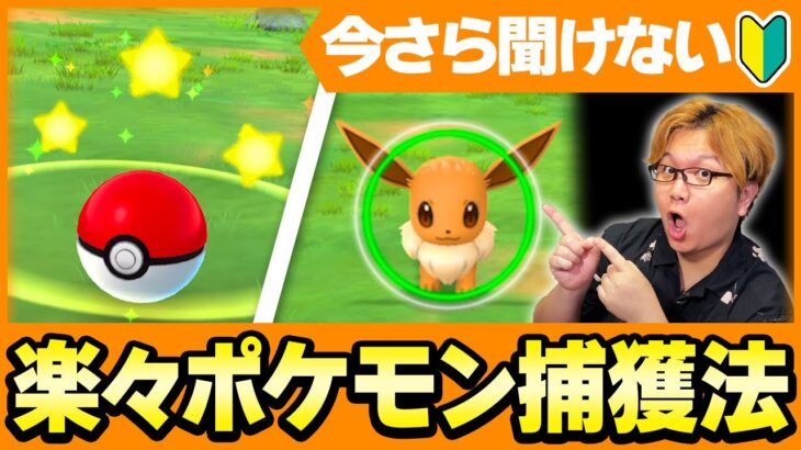 今さら聞けない効率的な捕獲方法!!ナイスとかカーブってなんの効果があるの?【ポケモンGO】