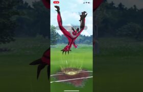 【ポケモンGO】イで始まるポケモンたち