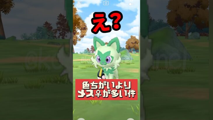 【ポケモンGO】ニャオハの色ちがい確率とニャオハメス♀の確率の違い！時間までに進化するのを忘れずに！ #コミニュティデイ #2025年1月5日