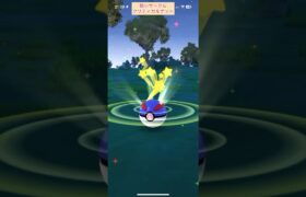 【難易度中】帽子グレッグル極小サークルクリティカルゲット【ポケモンGO】