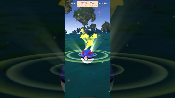 【難易度中】帽子グレッグル極小サークルクリティカルゲット【ポケモンGO】