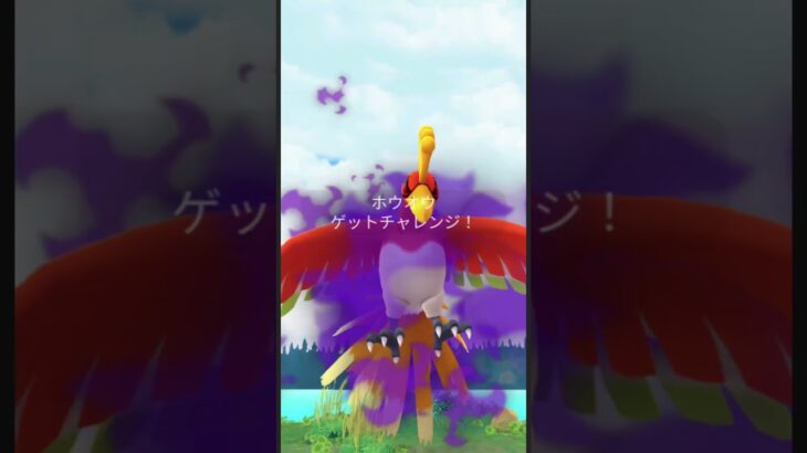 シャドウホウオウレイドデイ結果#ポケモンGO