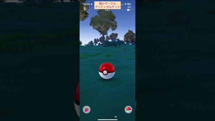 【難易度低】ナマケロ極小サークルクリティカルゲット【ポケモンGO】