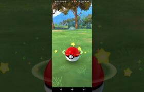 色違いイワーク捕獲【ポケモンGO】