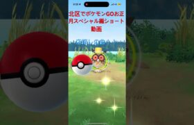 北区でポケモンGOお正月スペシャル編