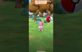 【難易度低】色違いニューラ極小サークルクリティカルゲット【ポケモンGO】