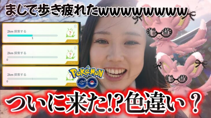 【最終回？】チラーミィ活動２日目🎀🐰ついに、、、来たか？色違い！？ ポケモンGO ファッションウィーク Pokémon GO 포켓몬고