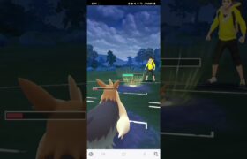 ポケモンGO 通常スーパーリーグ ムーランド、Sカイリキー、Sドリュウズ