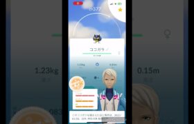 【 ポケモンGO 】タマゴからココガラ#ポケモンgo #ココガラ