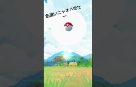 ポケモンGOで色違いニャオハを発見！ #ポケモンgo色違い