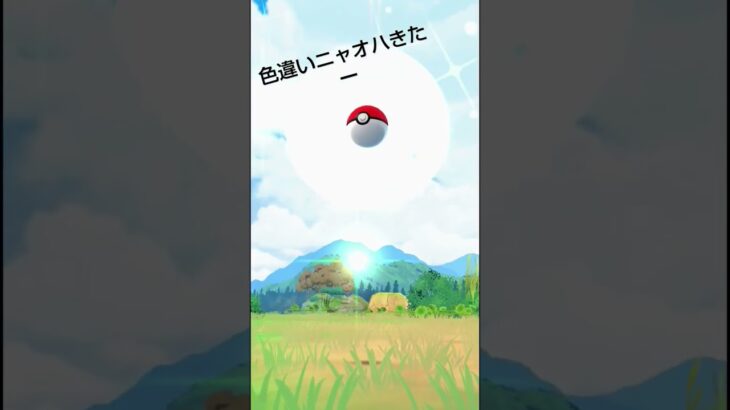 ポケモンGOで色違いニャオハを発見！ #ポケモンgo色違い