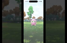 年末年始イベント色違い狙っていくぜ！【ポケモンGO】 #ポケモンgo