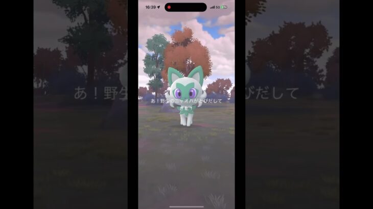 ニャオハコミュデイ色違いでたぁー！【ポケモンGO】 #ポケモンgo