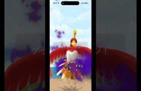 シャドウホウオウレイド・デイやってみた【ポケモンGO】 #ポケモンgo