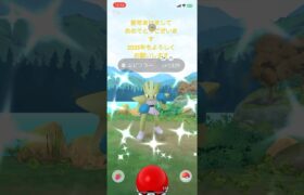 【ポケモンGO】新年あけましておめでとうございます⛩今年最初の色違い✨#ポケモン #ポケモンgo #ポケgo #ポケモンgo色違い #pokemongo #shorts #春の海