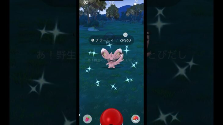 【ポケモンGO】チラーミーやっと光った！！！ #ポケモンgo #pokemongo #ポケgo #チラーミー