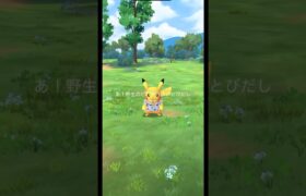 【ポケモンGO】沖縄限定のかりゆしピカチュウがかわいすぎる🥹！！ #ポケモンgo #pokemongo #ポケgo #ピカチュウ #おさんぽおこう