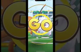 【ポケモンGO】メガユキノオーをメガリザードン単騎でソロ討伐！！ #ポケモンgo #shorts #pokemongo