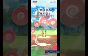 【ポケモンGO】モルペコ強すぎんか？#ポケモン #pokemon #ポケモンgo #pubg #pvp #shorts #shortvideo