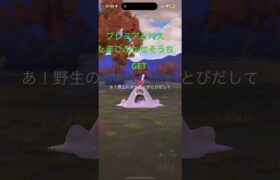 ポケモンGOアイテムプレミアムパス、たまごふかせ装置10秒