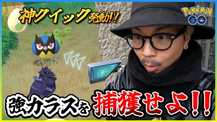 【ポケモンGO】このドキドキがたまらない！！めちゃくちゃ楽しいココガラ厳選！！２タマのココガラ率調査＋個体値100％を生み散らせ！！【はがねの決意】