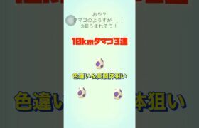 【ポケモンGO】10kmタマゴ3連🥚✨#ポケモンgo #shorts #10kmタマゴ