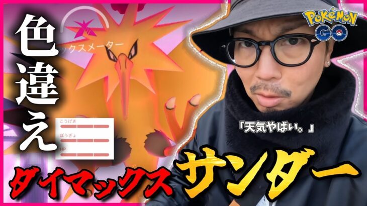 【ポケモンGO】ええええええっ！？色違えダイマックスサンダー限界連戦！！高個体＆色違いを引き散らせ！！【旧正月イベント2025】