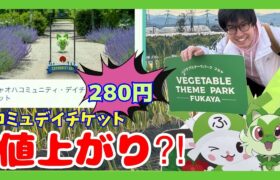 【ポケモンGO】チケット値上がり!?新コミュニティデイ280円チケットを”ノー忖度”で評価してみた！【ニャオハコミュニティデイ】