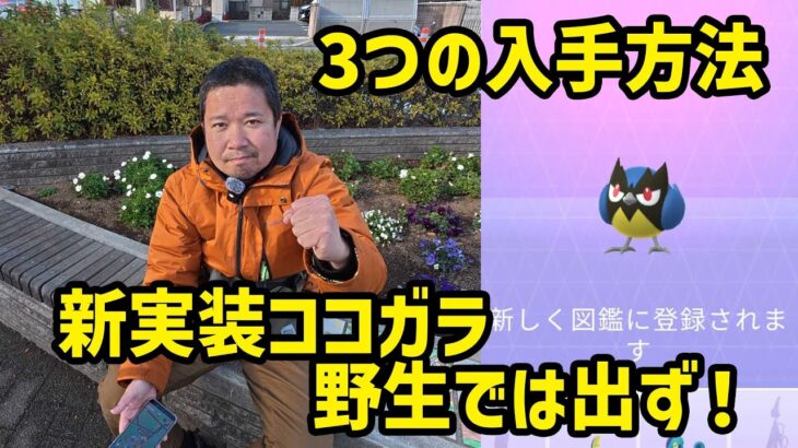 【ポケモンGO】新ポケのココガラは野生で出ず！3つの入手方法 はがねの決意