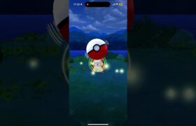 ポケモンGOフィールドリサーチ(ガーディのみ)ショート動画30秒