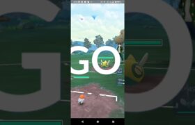 ポケモンGOホリデーカップ対戦ヤヤコマ＆ゴビット＆チルット全5戦④