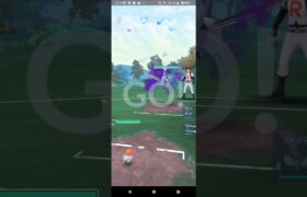 ポケモンGOホリデーカップ対戦ヤヤコマ＆ゴビット＆チルット全5戦②