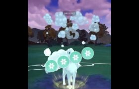 【ポケモンGOバトル#555】これで勝利記録伸ばしました✨さあ今すぐ上の🐸マークをタップして👍&チャンネル登録しよう！！ココチAチャンネルオリジナルポケモンGOバトル動画がいつでもどこでも見放題だ