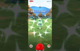 ポケモンGO色違いニャオハ初GET！！#pokemon #pokemongo #ポケモンgo