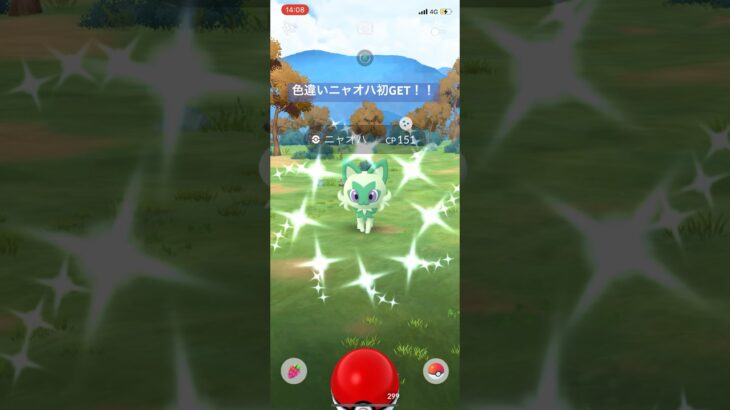 ポケモンGO色違いニャオハ初GET！！#pokemon #pokemongo #ポケモンgo