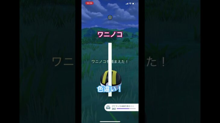 【ポケモンGO】久しぶりの野生色違いきた！ワニノコPvP個体こい！