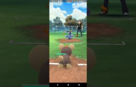 リトルジャングルカップ【ポケモンGO】Sカイリュー、シシコ、バケッチャ