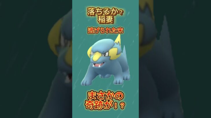 【ポケモンGO】「輝石のVoltage」なるか!? #pokemon #pokemongo #ポケモン