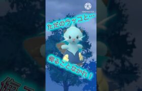 【ポケモンGO】モルペコを狩れる水単タイプ！？隠し球を持つフタチマルが面白い！！！！！(スーパーリーグ)#ポケモンgo #goバトルリーグ #shorts