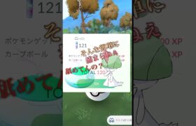 （ポケモンGO）高個体ラルトス出てきてくれ〜､､､#ポケモンgo #pokemongo #shorts