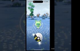 （ポケモンGO）色違いニャオを捕まえる！#ポケモンgo #pokmongo #shorts