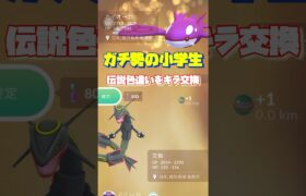 【ポケモンGO】伝説色違いのキラ交換✨#ポケモンgo #shorts #キラ交換#色違いポケモン